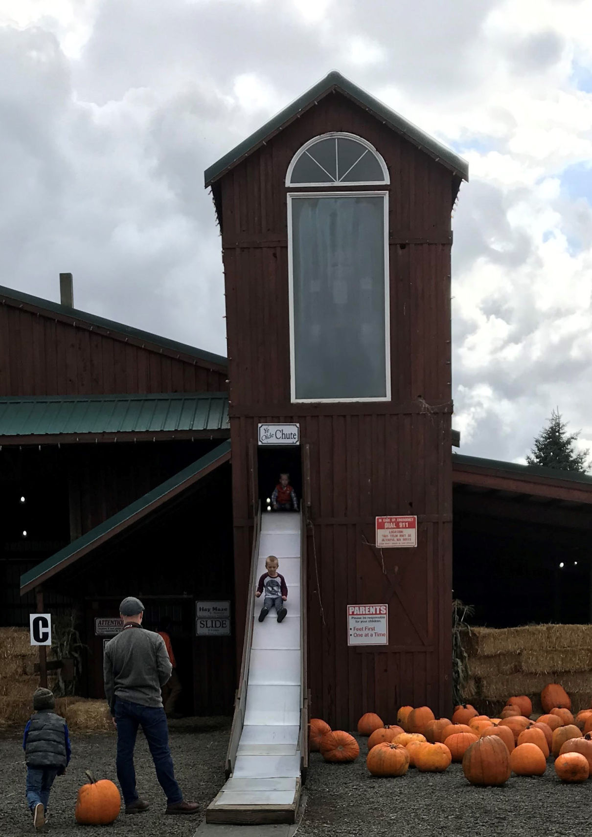 Pumpkins